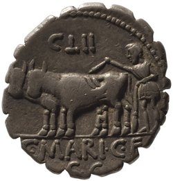 Röm. Republik: C. Marius Capito