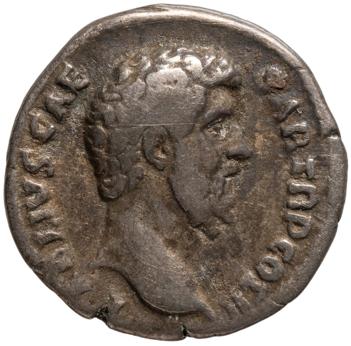 Lucius Aelius
