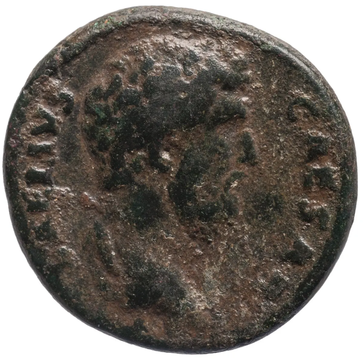 Lucius Aelius