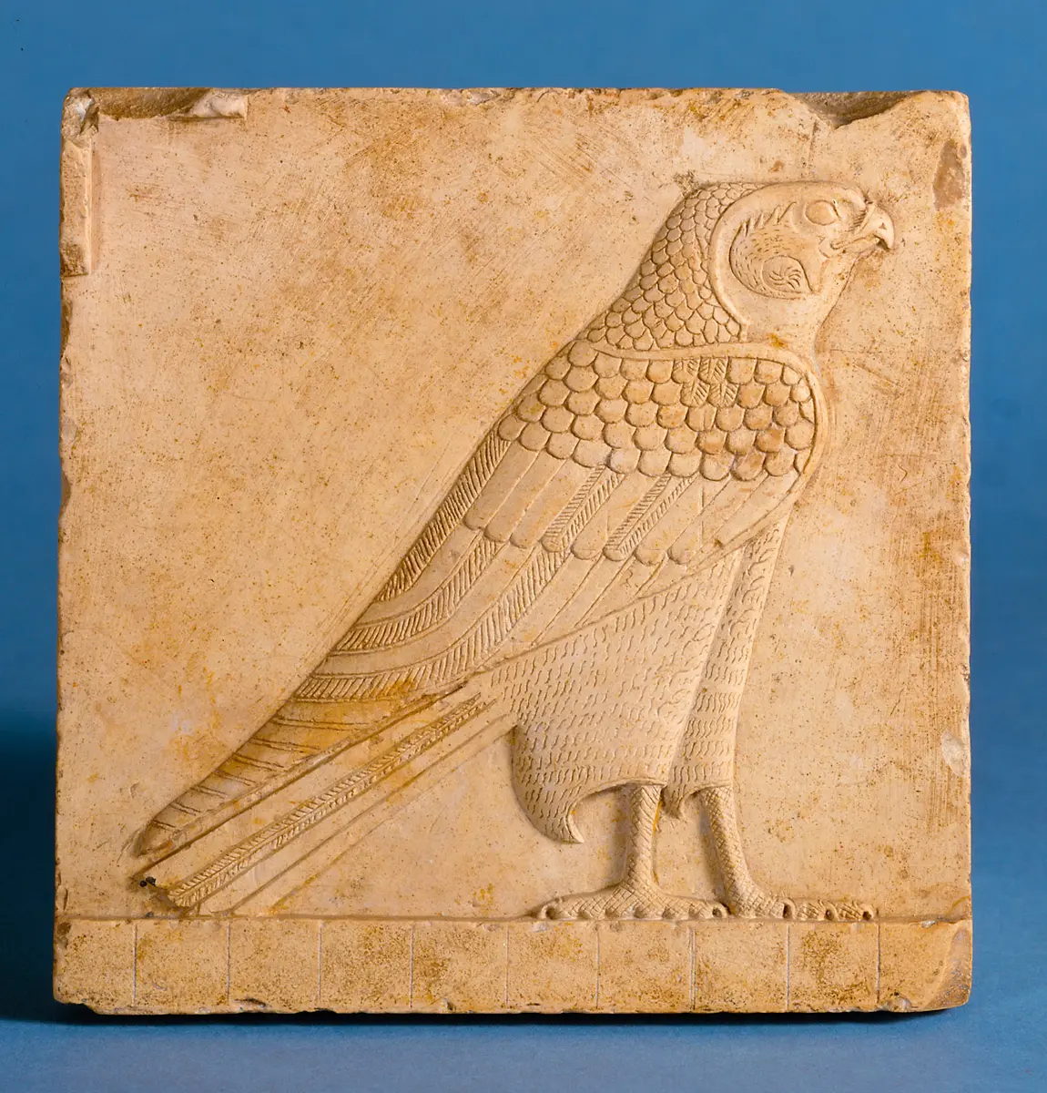 Relief eines Falken