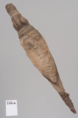 Kleine Krokodilsmumie