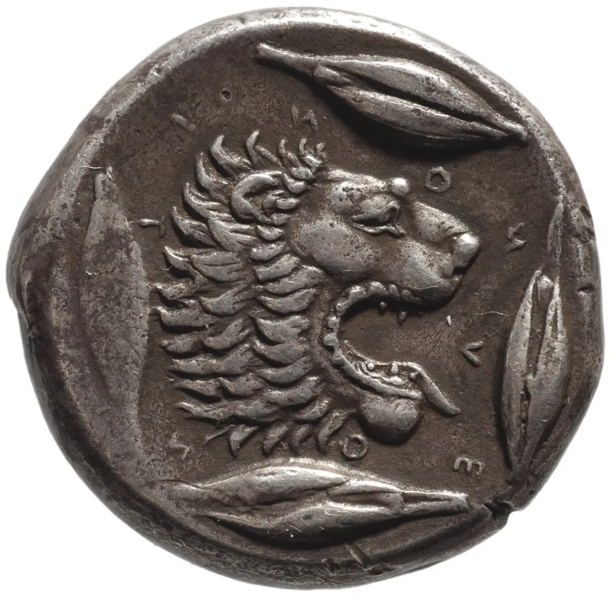 Leontinoi