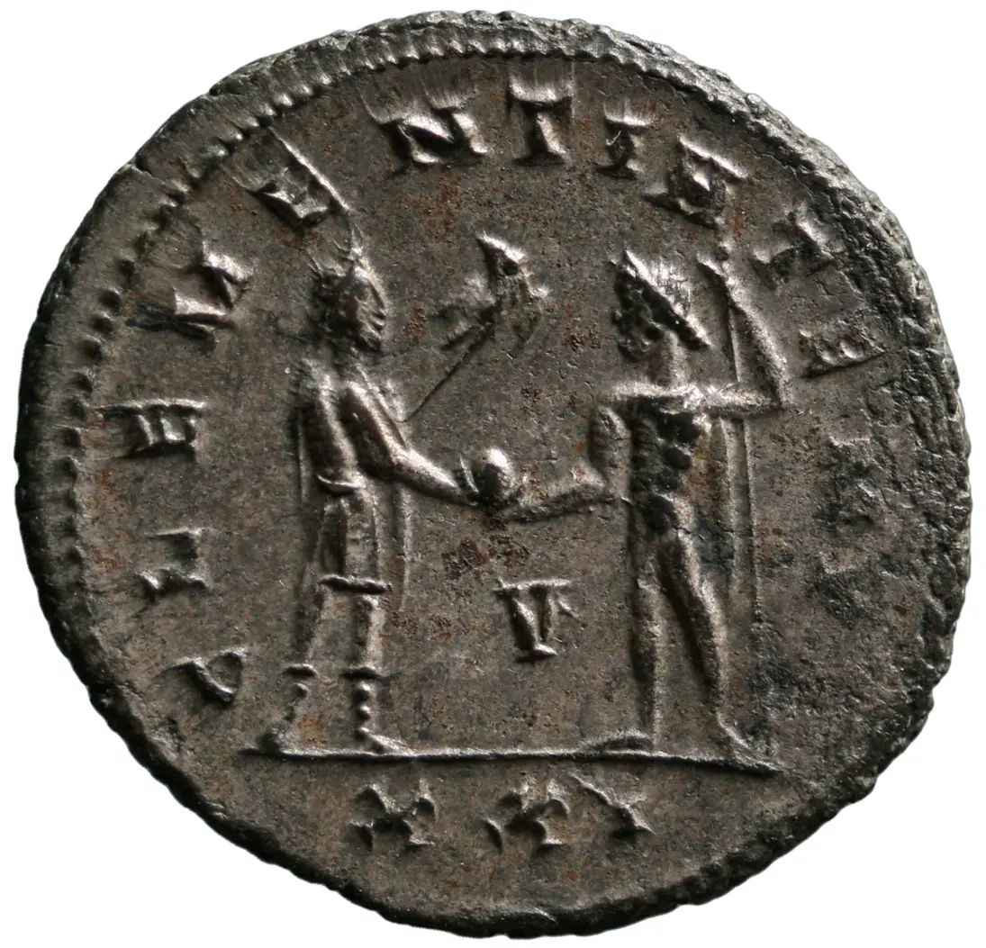 Probus