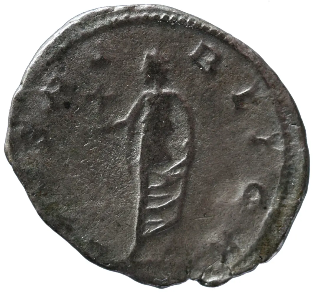 Saloninus