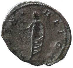 Saloninus