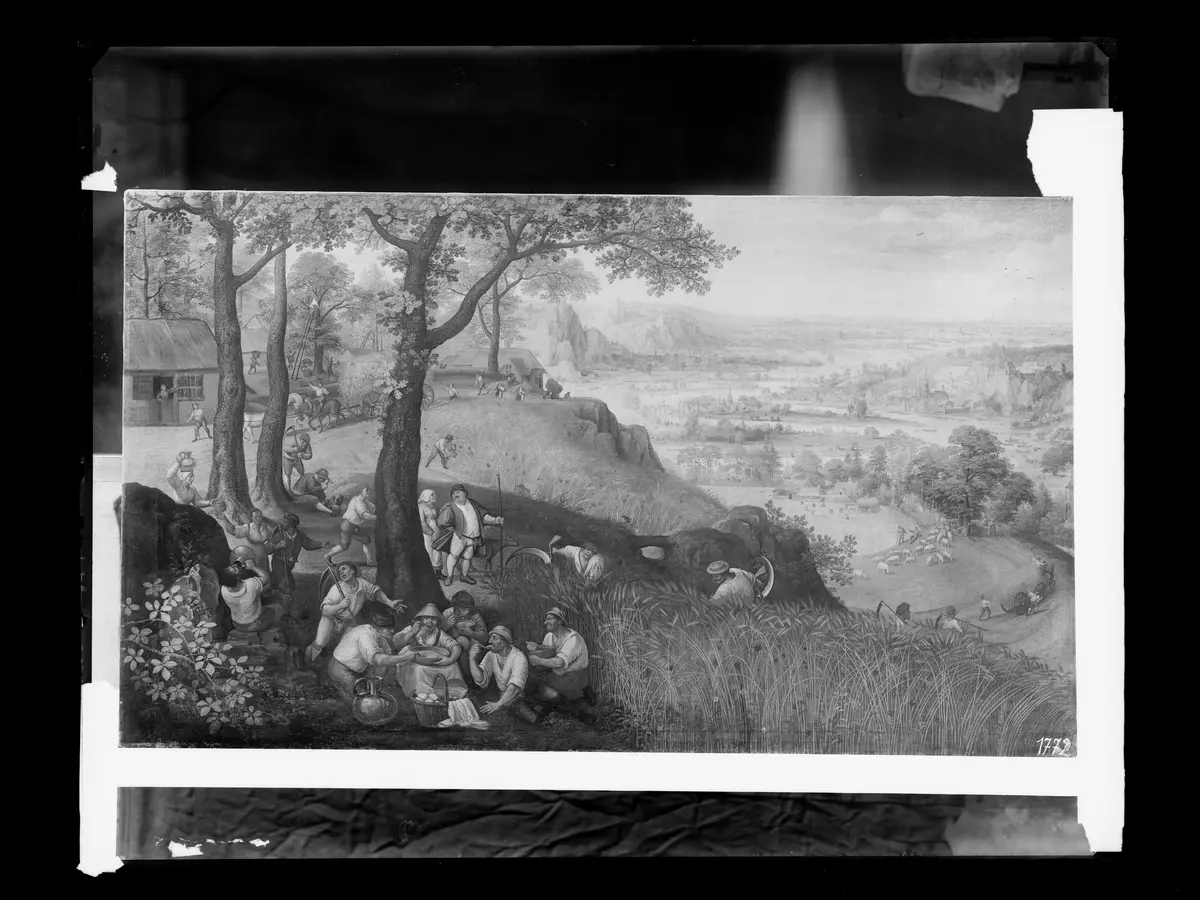 Sommerlandschaft (Juli oder August)