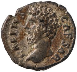 Lucius Aelius