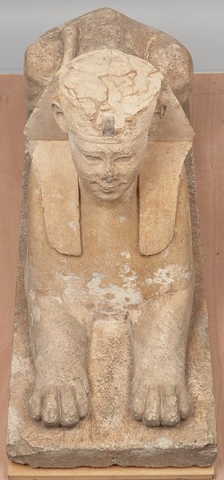 Serapeumssphinx