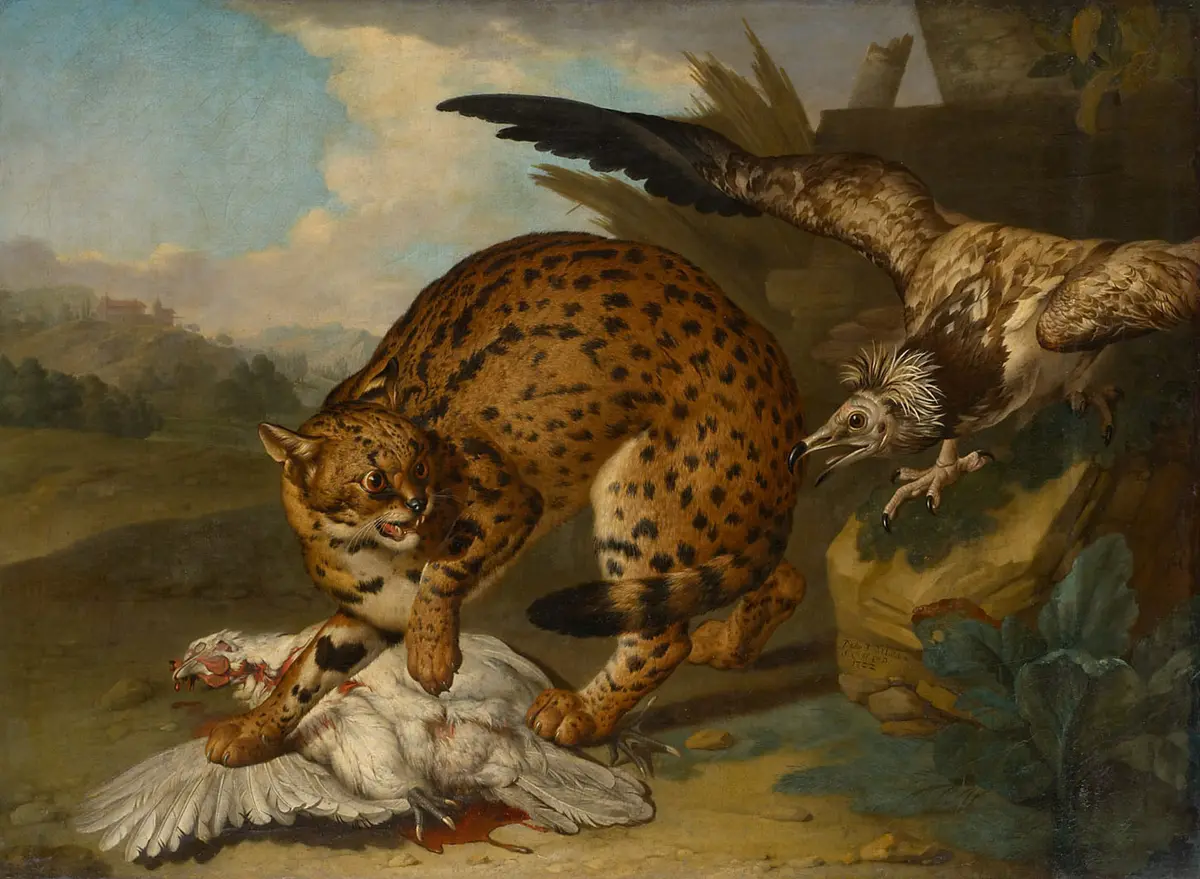 Leopard und Geier