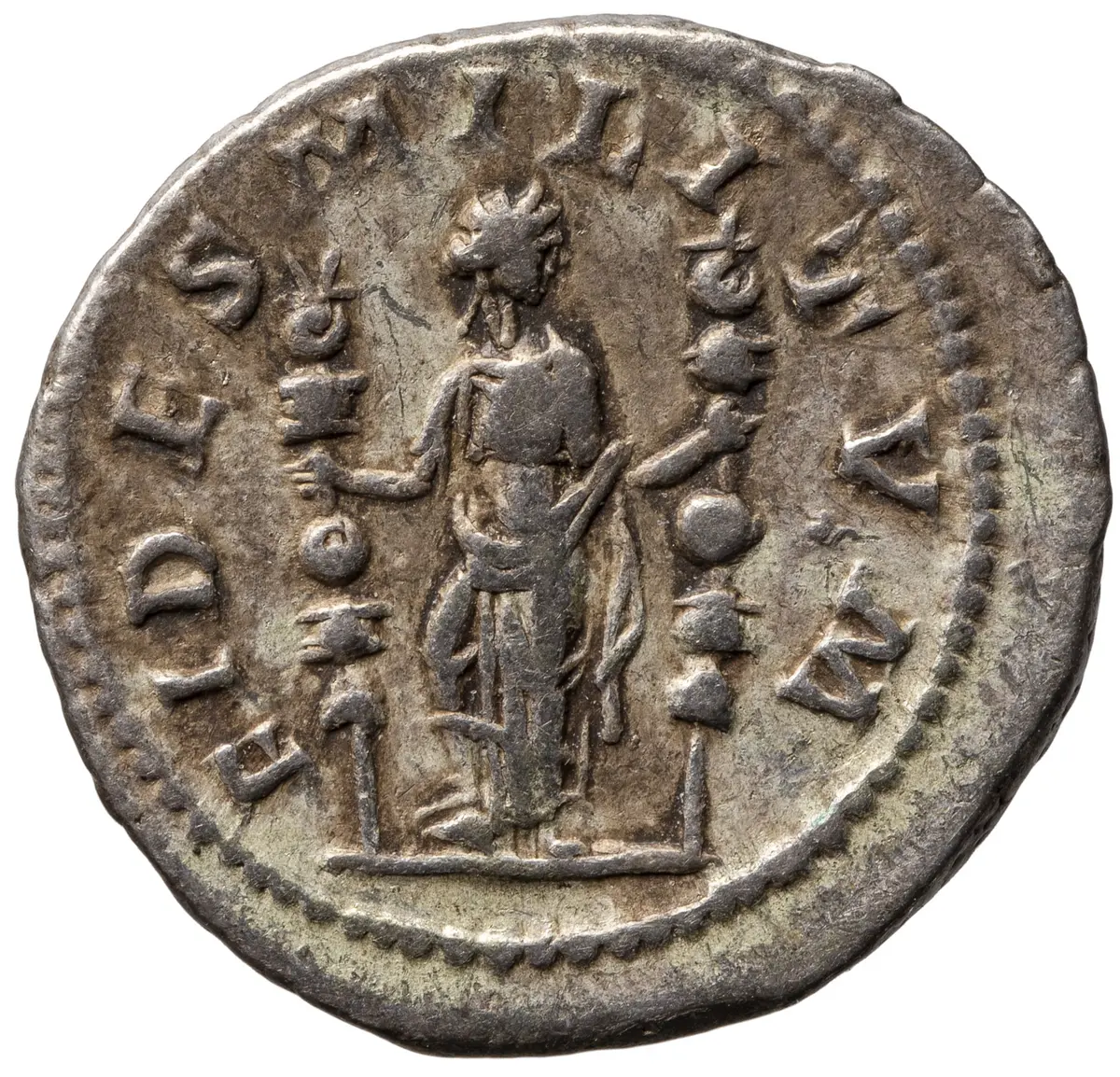 Macrinus