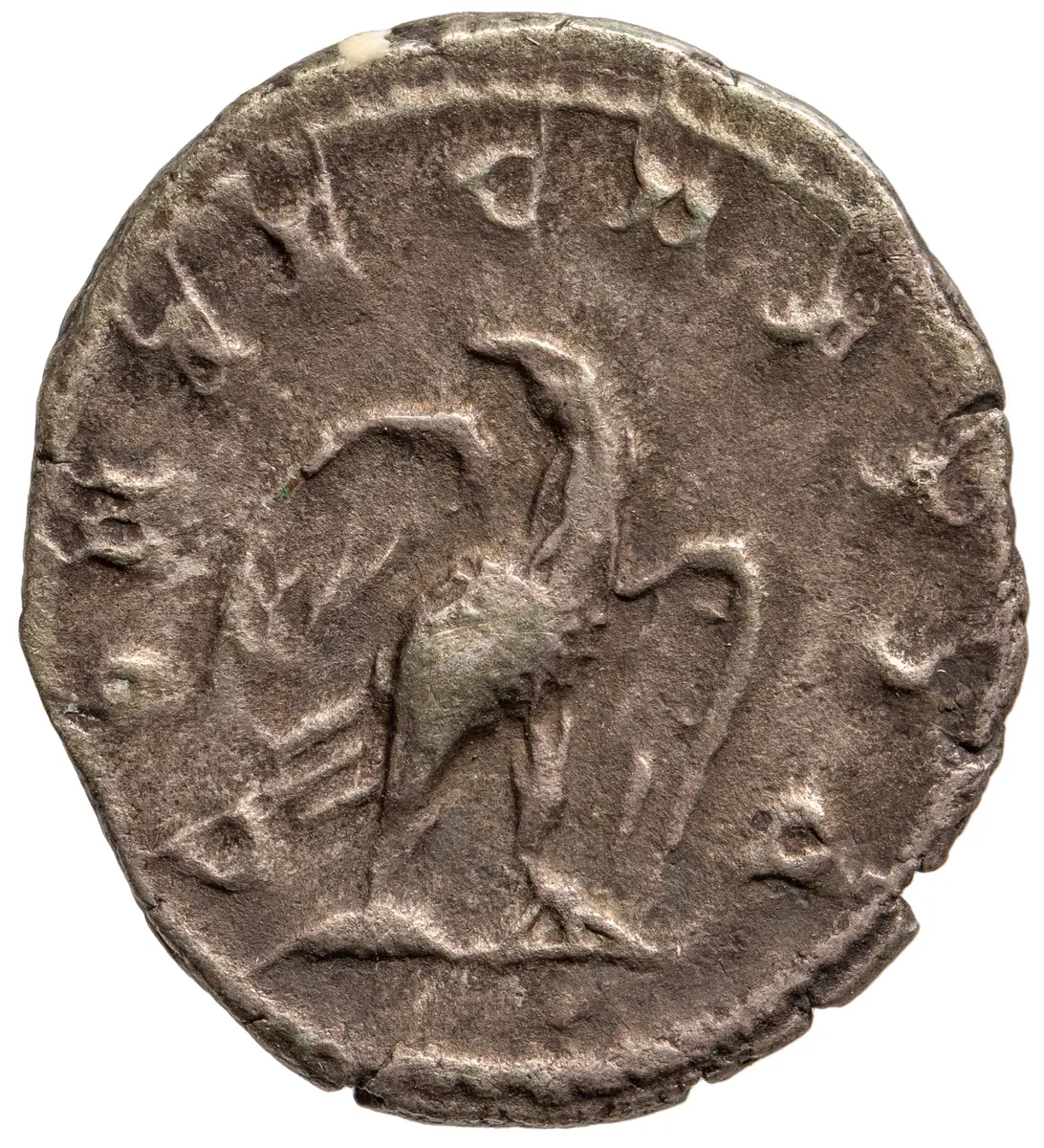 Divus Commodus