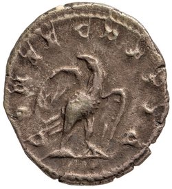 Divus Commodus