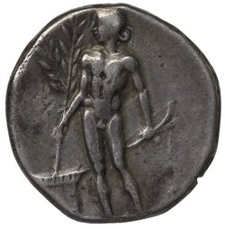 Metapont