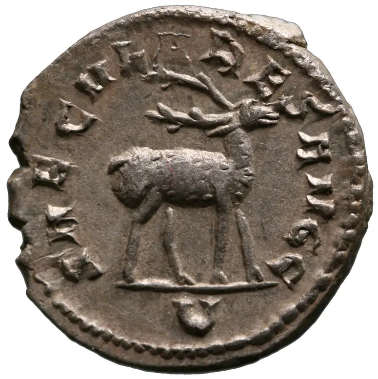 Münze