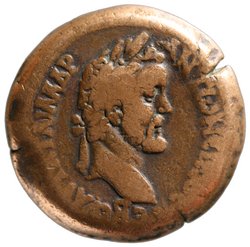 Alexandria: Antoninus Pius