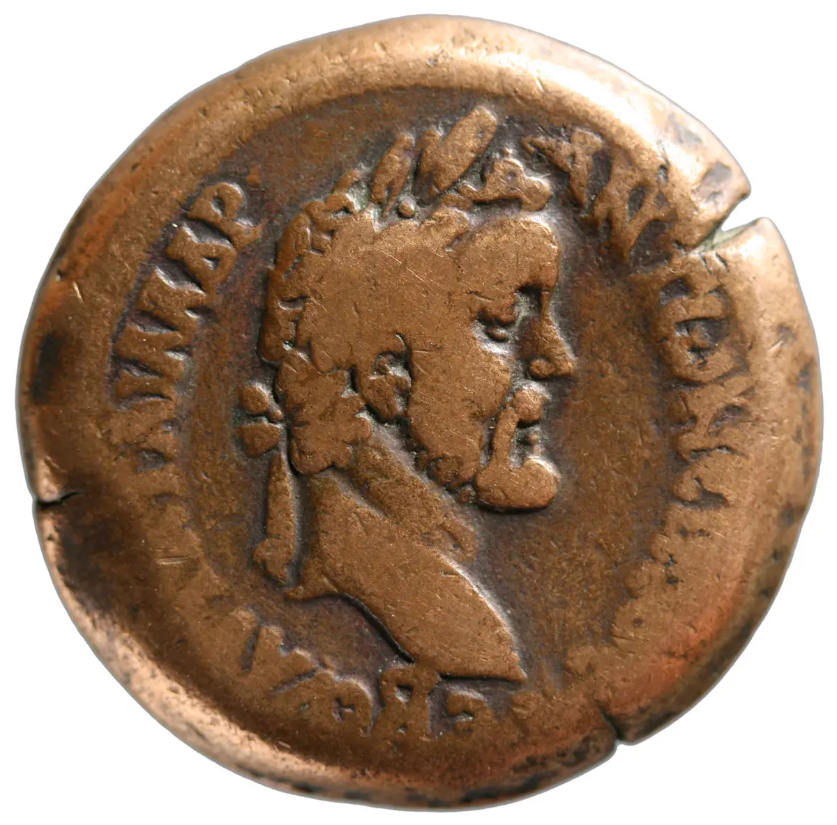 Alexandria: Antoninus Pius