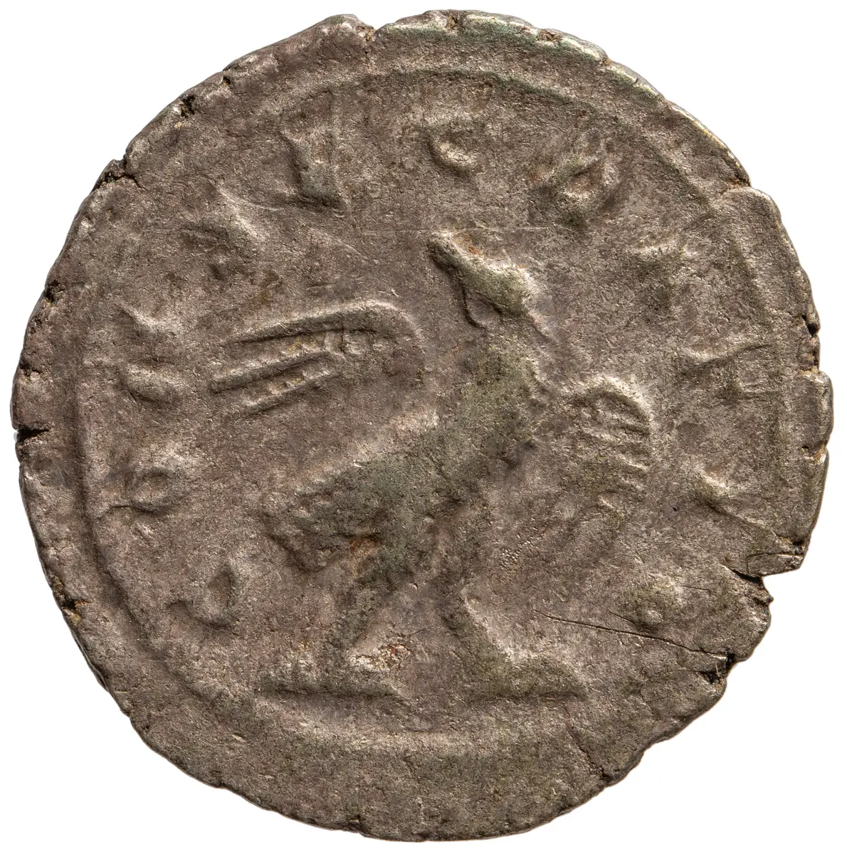 Divus Commodus