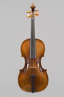 Viola