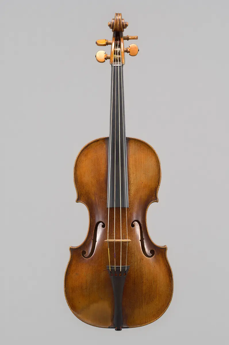 Viola