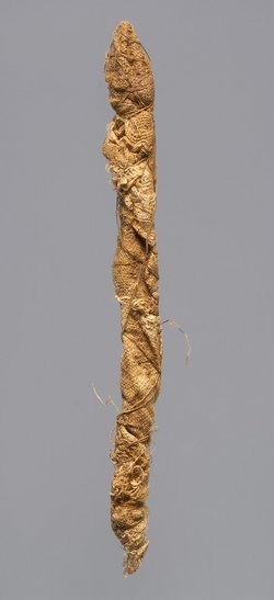 Mumie eines kleinen Krokodils
