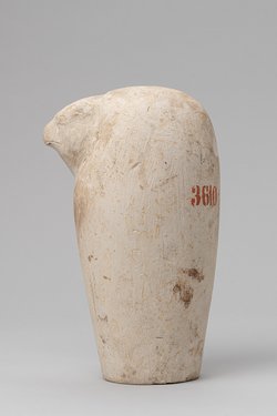 Scheinkanope mit Falkenkopf