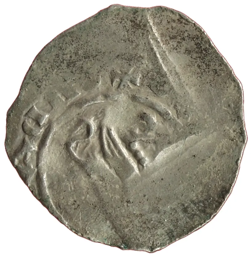 Herzöge von Andechs-Meranien: Berthold V. (1218/1228–1251)