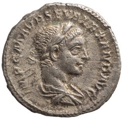 Severus Alexander
