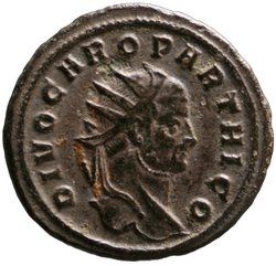 Divus Carus