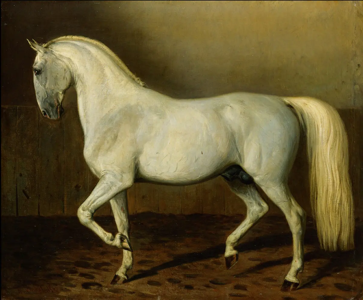 Bildnis eines Kladruber Hengstes im Stall (Generalissimus Affabila); Öl auf Leinwand, signiert und datiert (in vergoldetem Doppelrahmen gemeinsam mit Z 52 a)