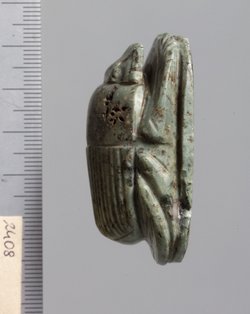 Herzskarabäus