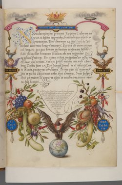 Schriftmusterbuch; 127 Blatt Pergament