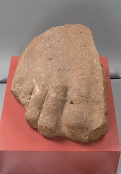 Rechter Vorderfuß einer Kolossalstatue