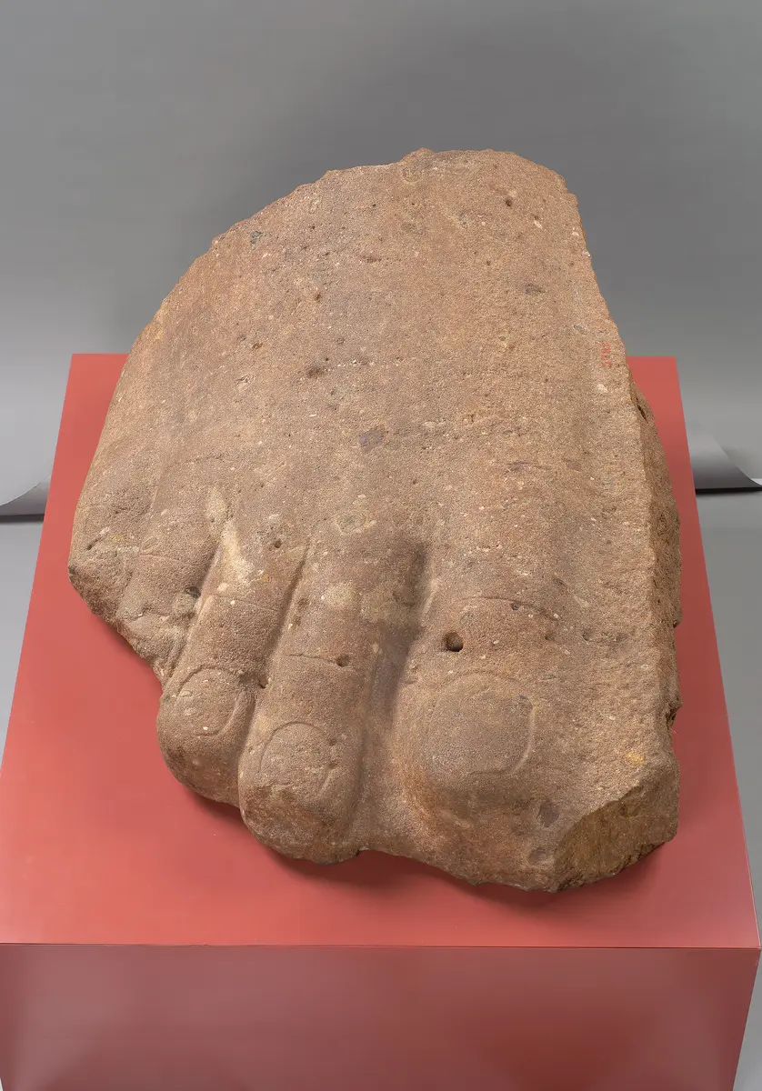 Rechter Vorderfuß einer Kolossalstatue