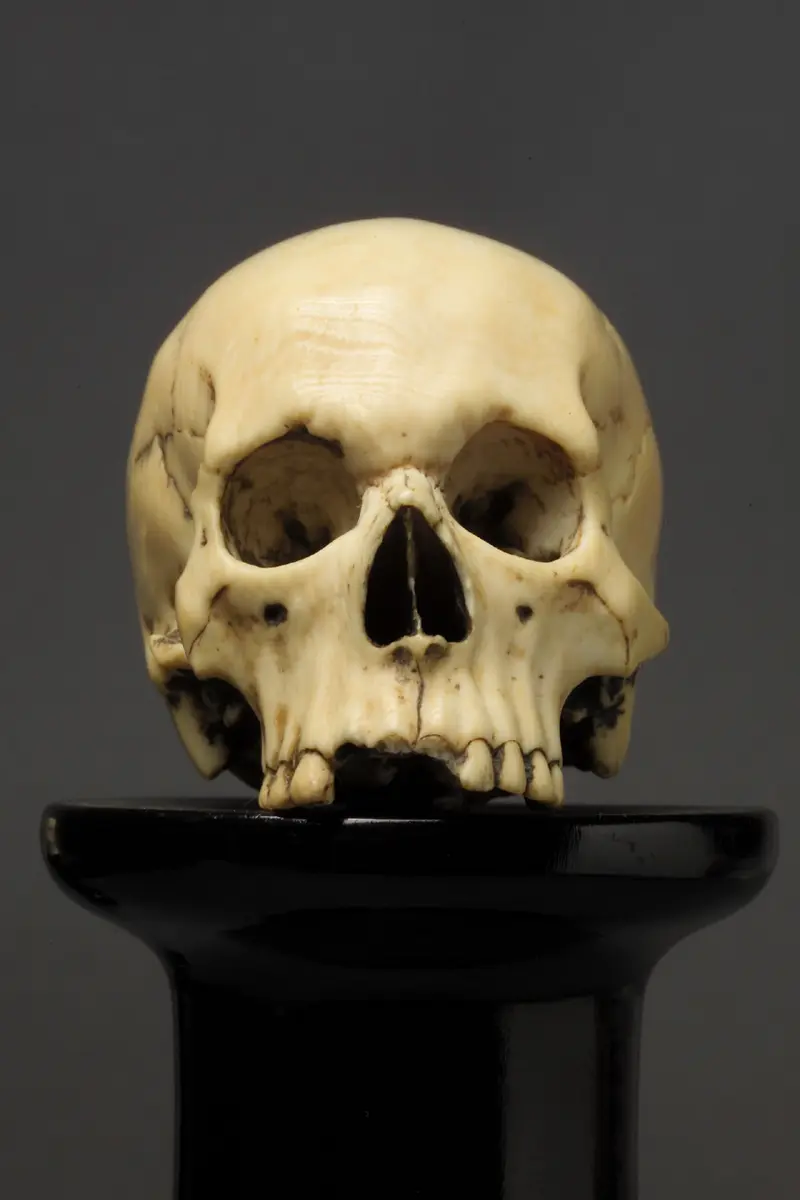 Totenkopf (anatomisches Modell)