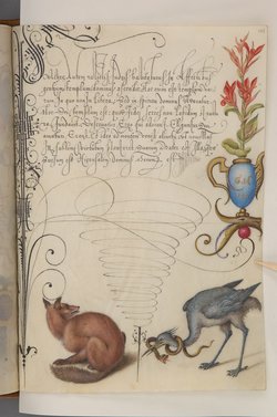 Schriftmusterbuch; 127 Blatt Pergament