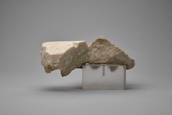 Polosfragment