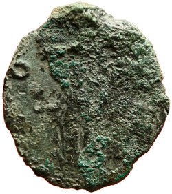Salonina