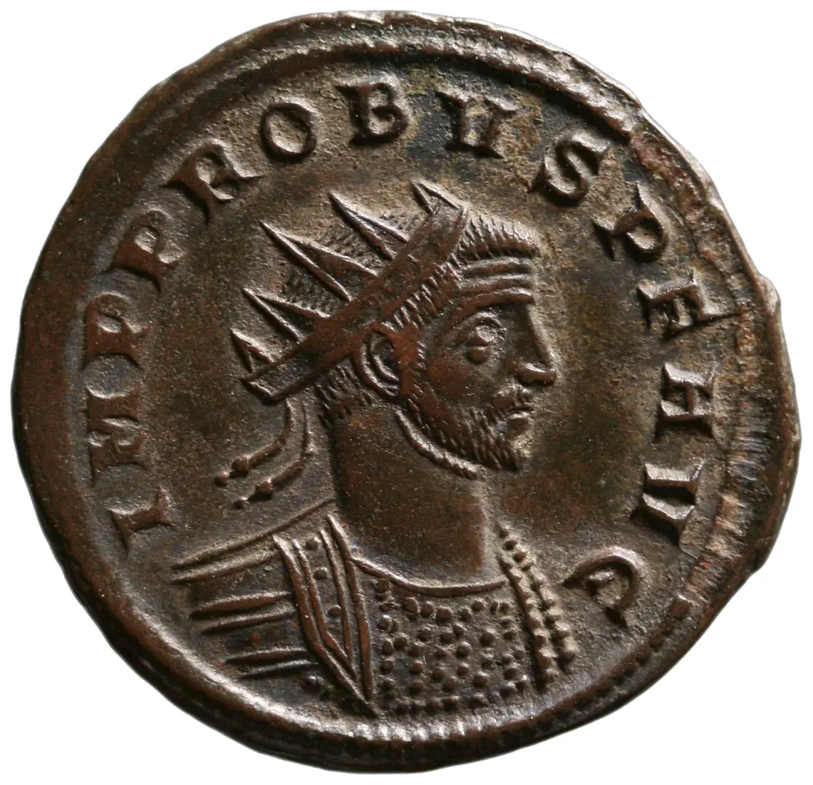 Probus