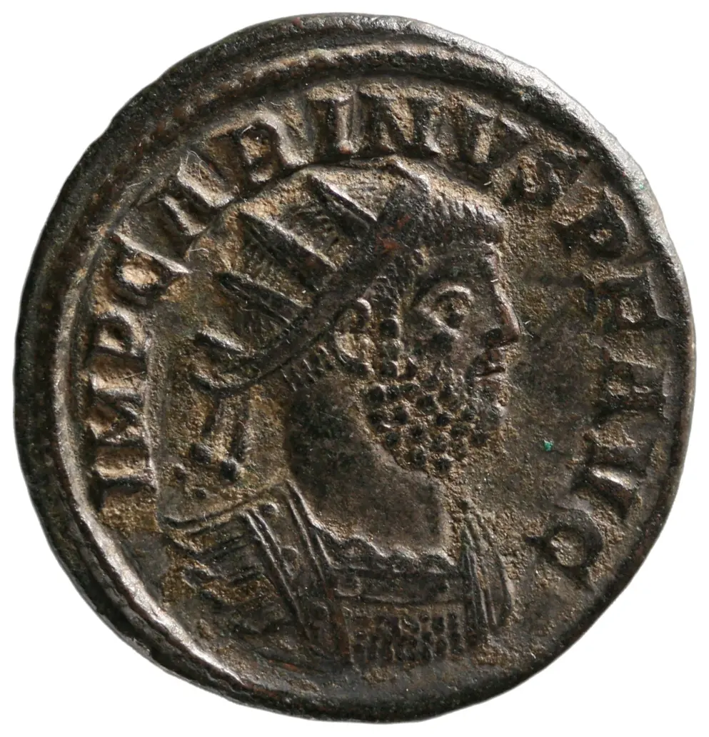 Carinus