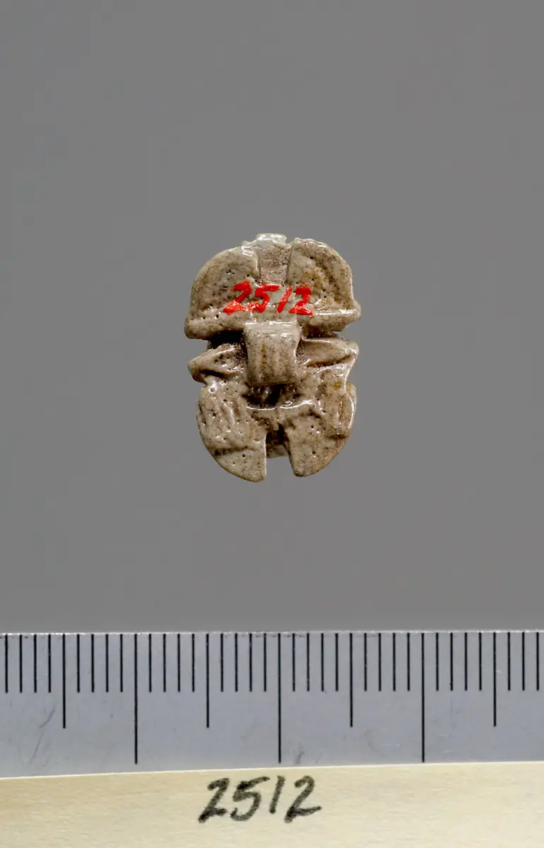 Mumienskarabäus