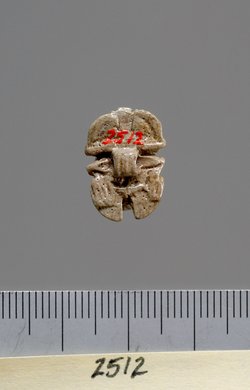 Mumienskarabäus