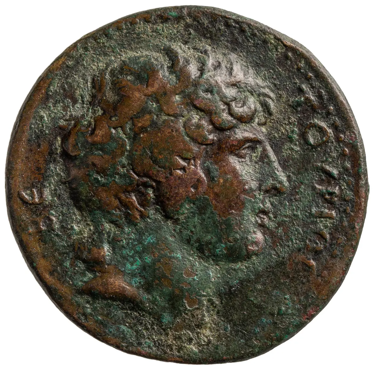 Arkadia: Antinous