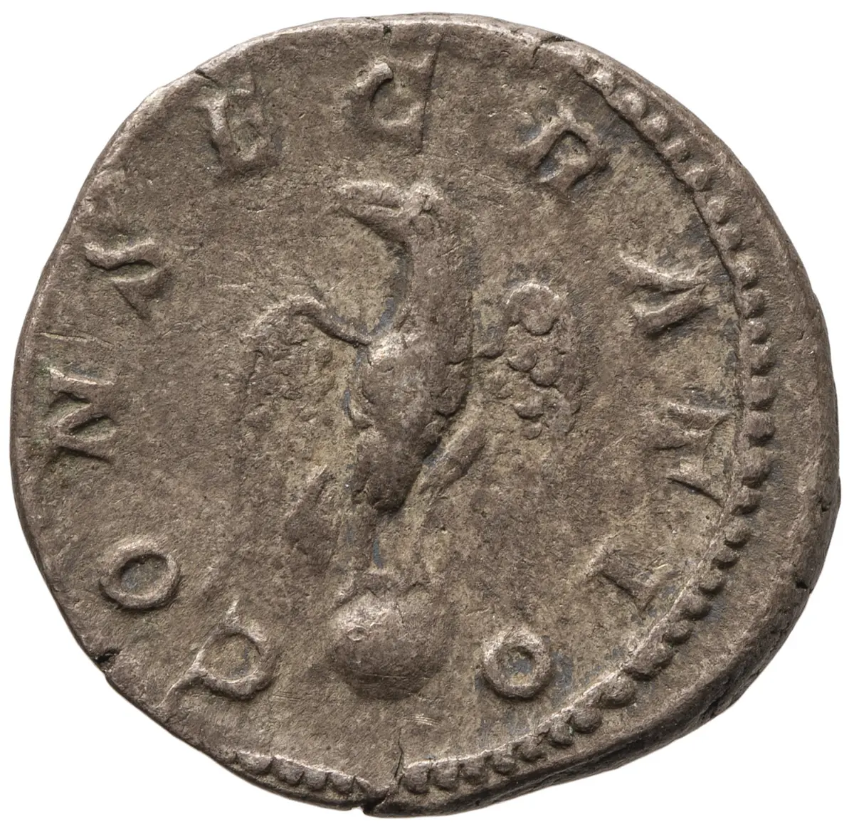 Divus Septimius Severus