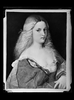 Violante