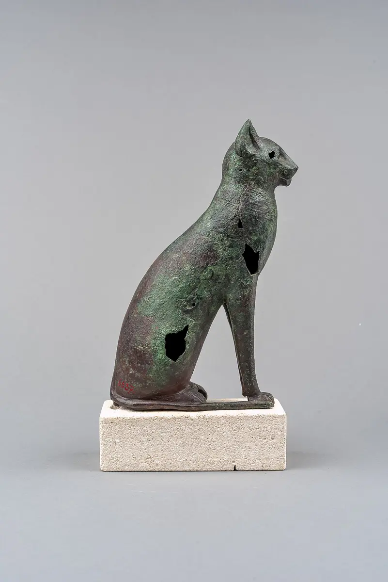 Sitzende Katze