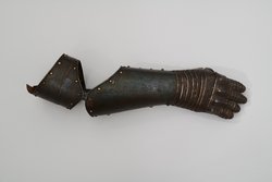 Armzeug, um wilde Tiere zu fangen / Jagdhandschuh