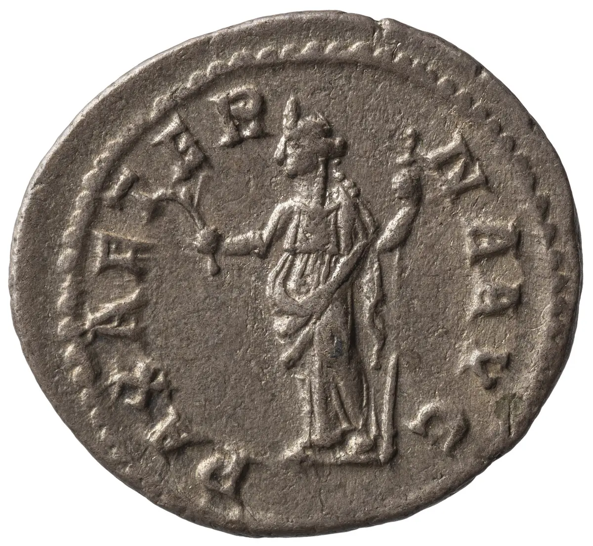 Severus Alexander