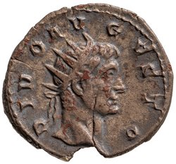 Divus Augustus